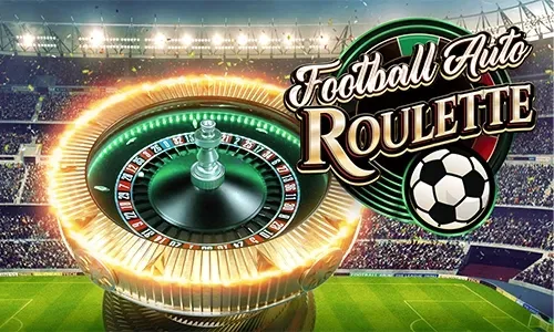 Beginner's Guide to Live Casino